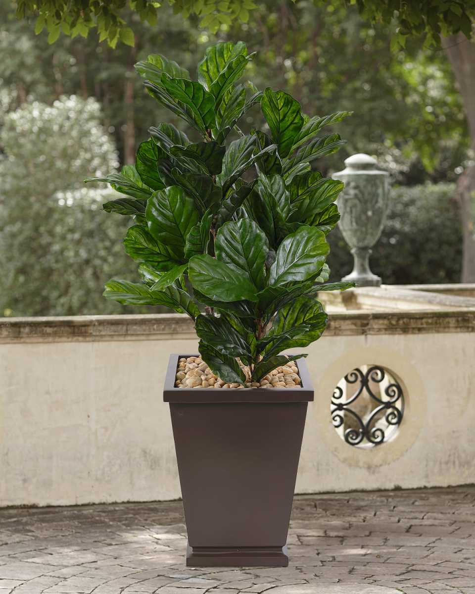 Faux Fiddle Leaf In Tapered Brown Square, 62"T